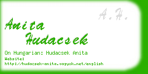 anita hudacsek business card